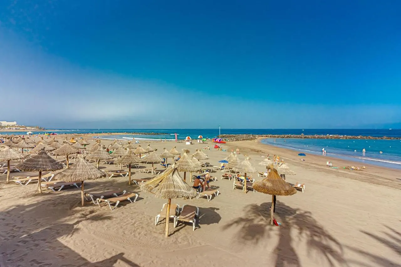 Fantastic Large Studio In Front Of Beach Heated Pool Wifi Arona  España