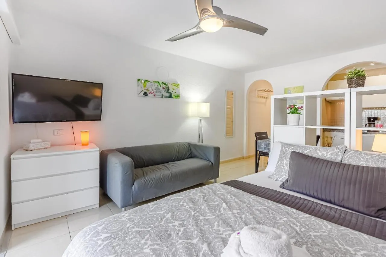 Apartamento Fantastic Large Studio In Front Of Beach Heated Pool Wifi Arona  España