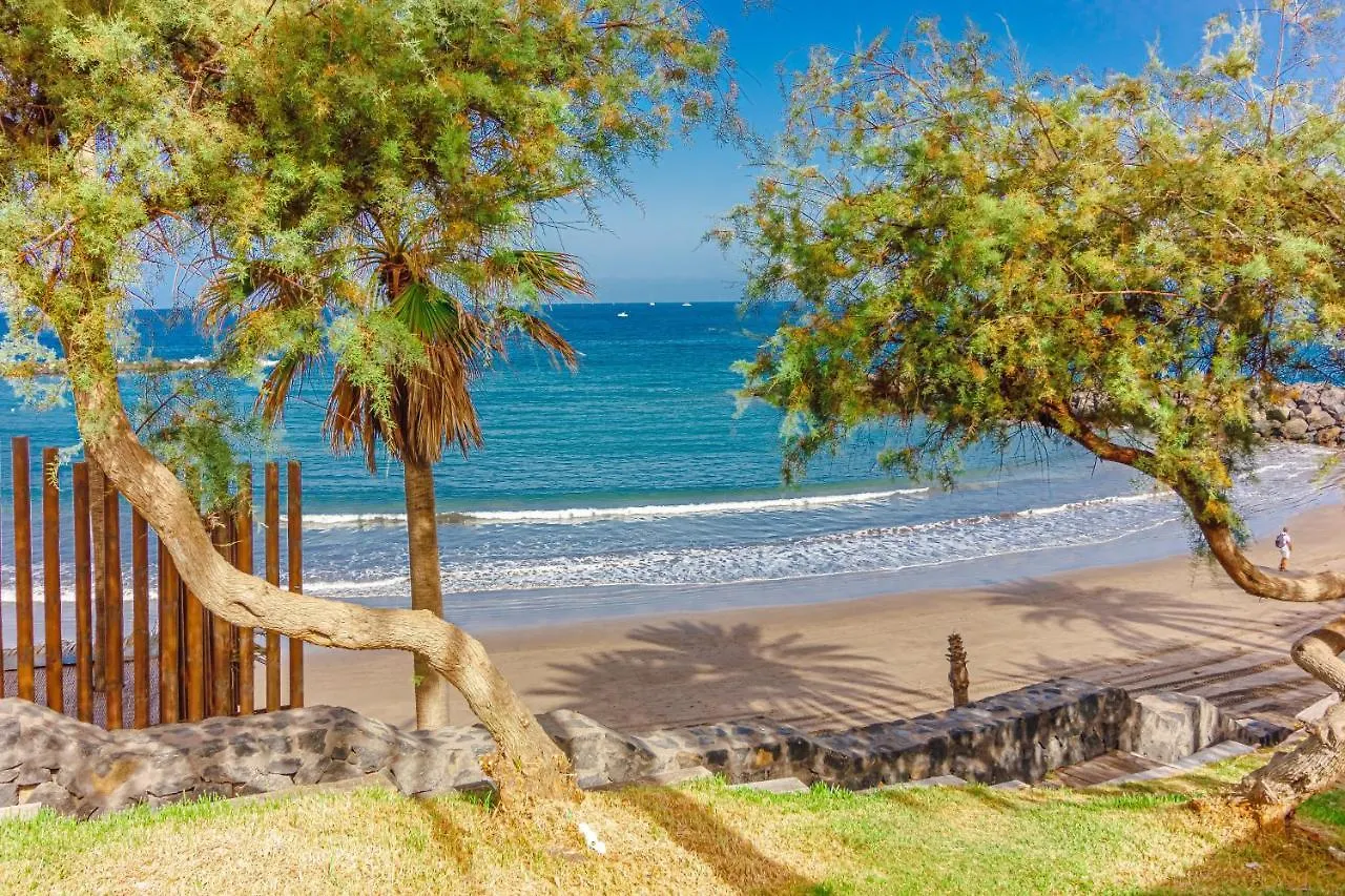 Apartment Fantastic Large Studio In Front Of Beach Heated Pool Wifi Arona